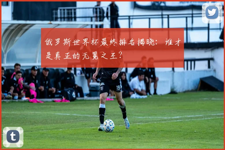 俄罗斯世界杯最终排名揭晓：谁才是真正的无冕之王？