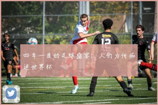 四年一度的足球盛宴：人们为何痴迷世界杯