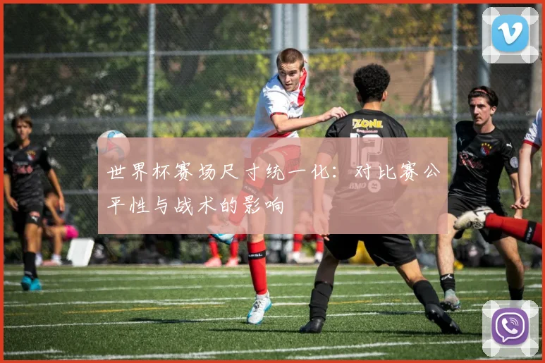世界杯赛场尺寸统一化：对比赛公平性与战术的影响